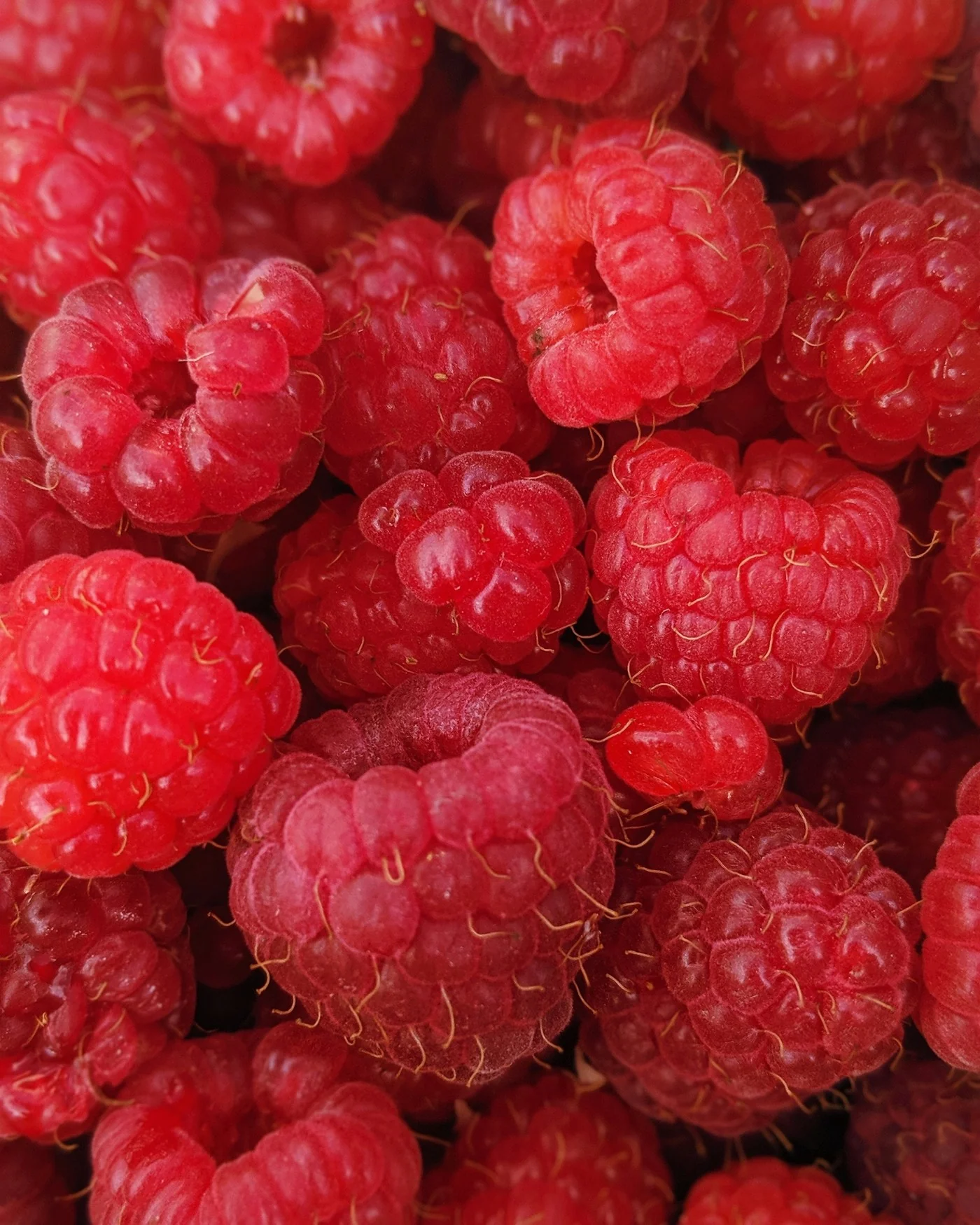 Framboise