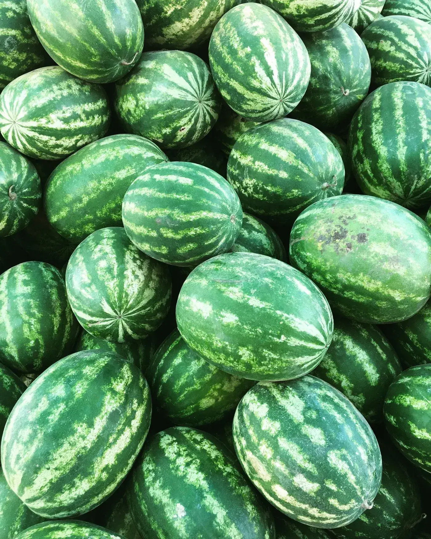 Pastèque