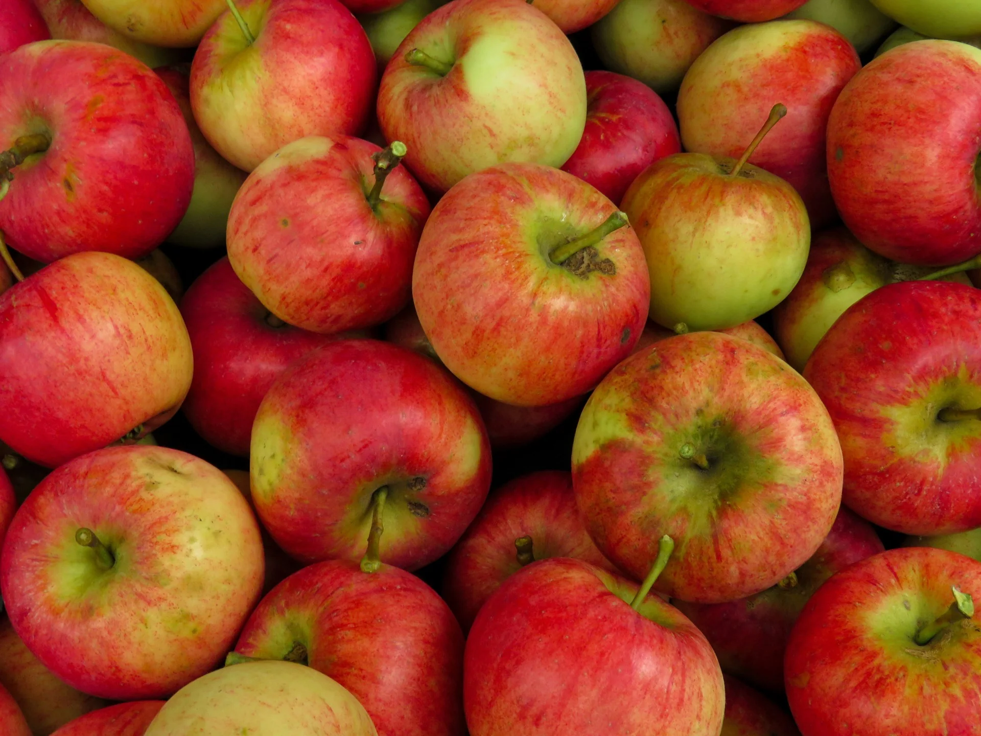 Pomme