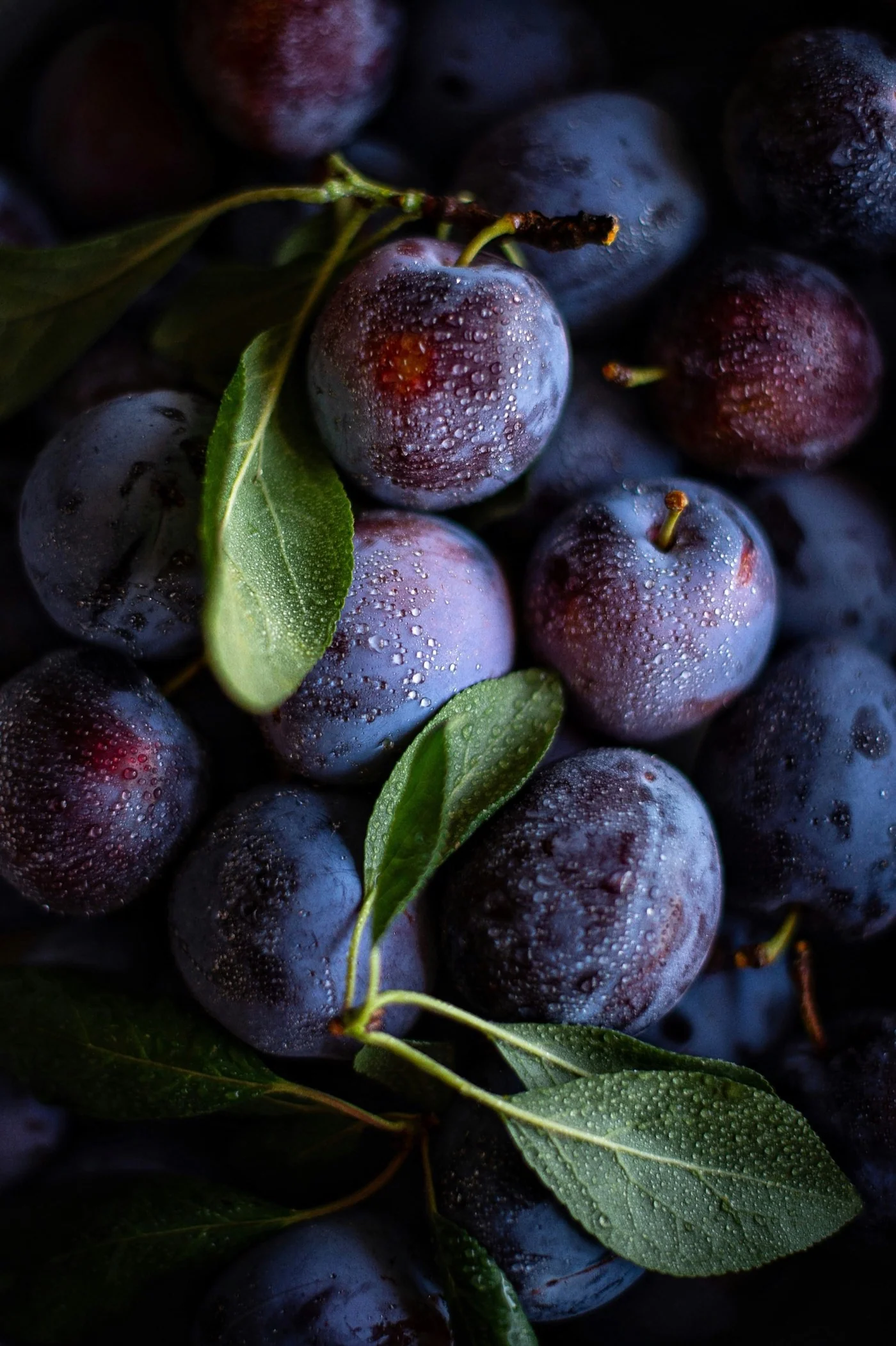 Prune