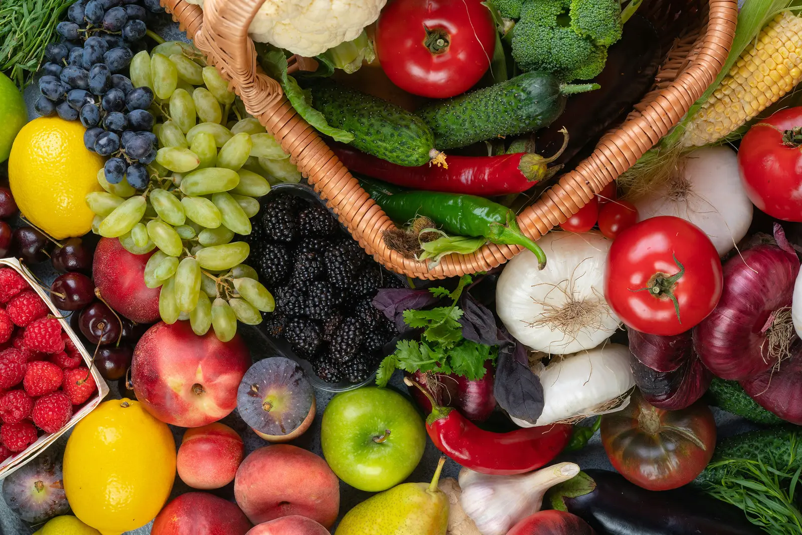 Récolte abondante de fruits et légumes