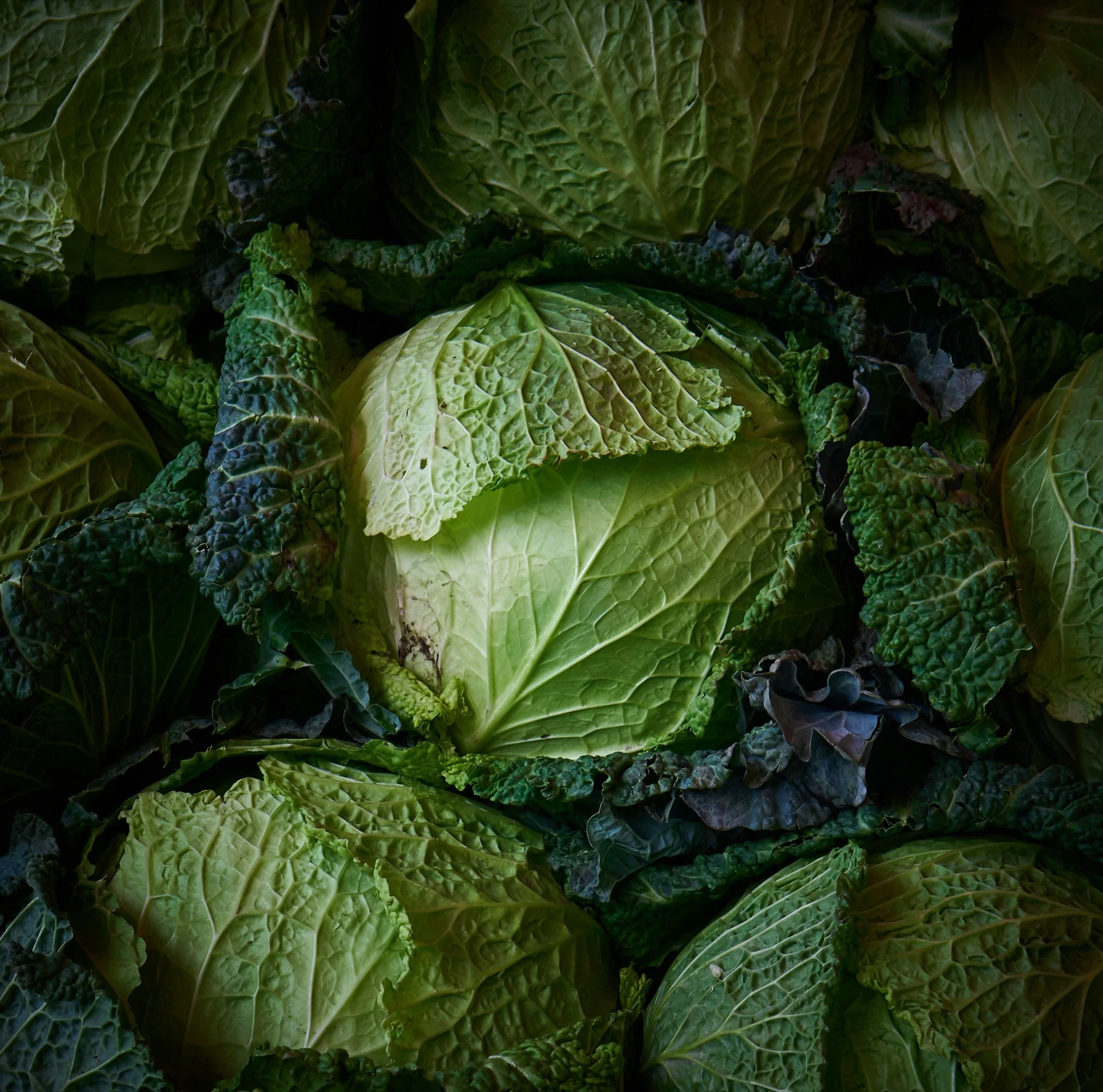Chou-fleur
